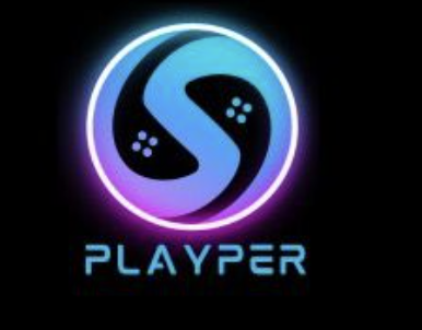 Player's Perspective logo